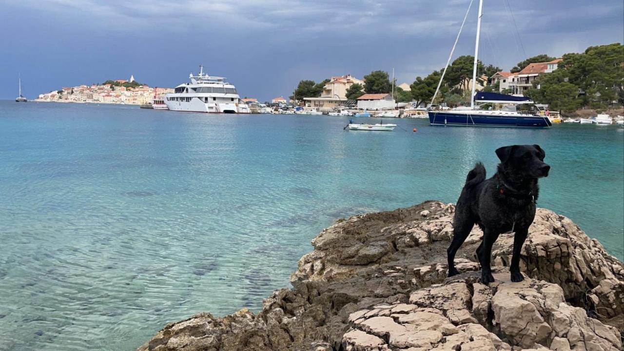 Stonewood Dalmacija Lejlighed Primošten Eksteriør billede
